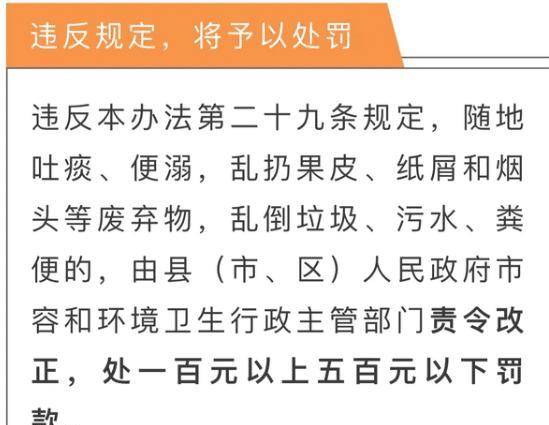 今晚澳门必中三肖三,精选解析解释落实