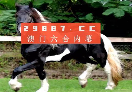 澳门今晚必开一肖一特|精选解析解释落实