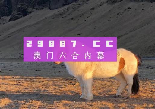 2024澳门特马今晚开奖49图片,详细解答解释落实