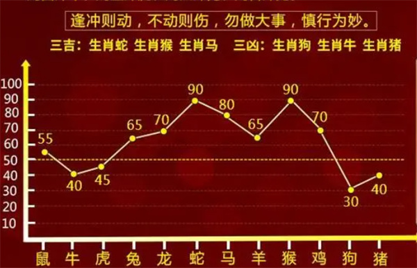 精准一肖一码一子一中,精选解析解释落实