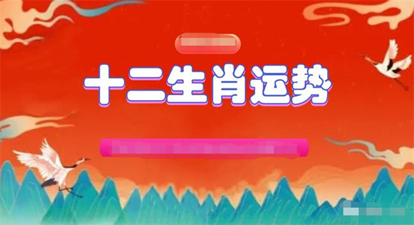 一肖一码一中一特准确资料解释落实